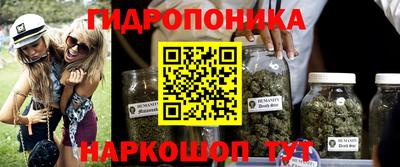 дурь Брянск