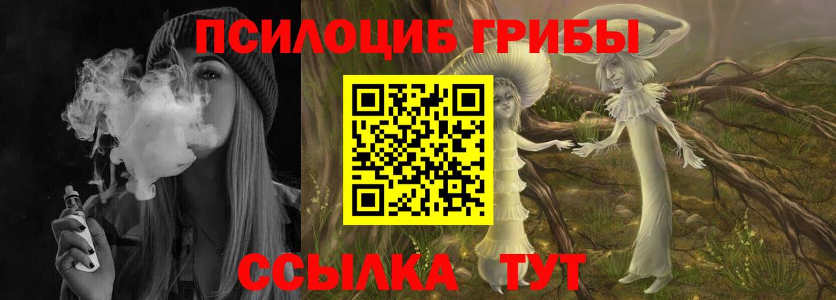 даркнет сайт  Псилоцибиновые грибы Psilocybe  Вход с VPN  Дедовск 